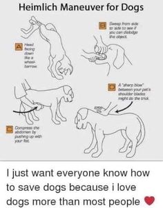 an image of dogs and their names on the page, which includes instructions for how to use