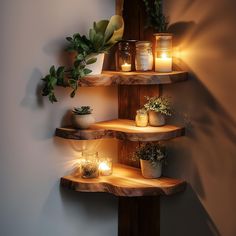 three shelves with candles and plants on them