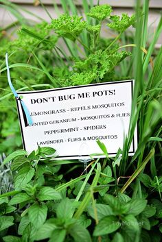 a sign that is in the grass near some plants