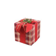 a red and green plaid wrapped present box