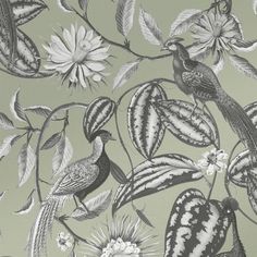 a wallpaper with birds and flowers on it in grey, white and green colors