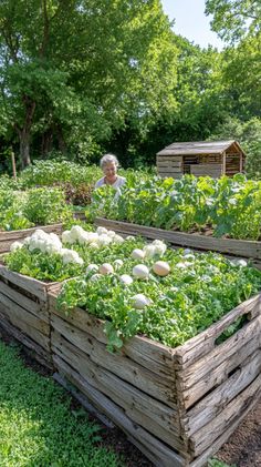 Homesteading Today Homestead Esthetic, Home Steading, Homesteading Aesthetic, Home Farming, Farm Goals, Small Stone Cottage, Goat Ideas, Farm Cooking, Dream Backyard Garden