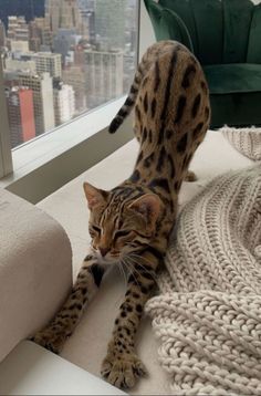 a cat laying on top of a white couch next to a window with a cityscape in the background