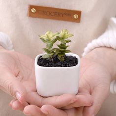 a person holding a small potted plant in their hands with a name tag on it