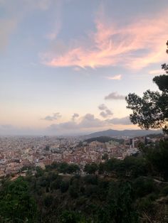 a view of a city from the top of a hill with trees in front of it