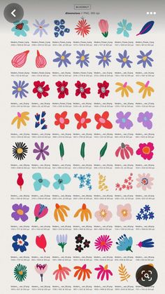 an info sheet with different flowers and their names on the front page, which is also in