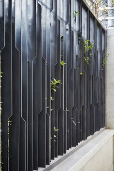 a black metal fence with plants growing on the top and bottom part, along side it