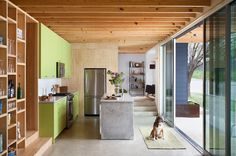 a dog sitting in the middle of a kitchen with open shelving and sliding glass doors