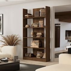 a living room filled with furniture and a tall book shelf in front of a window