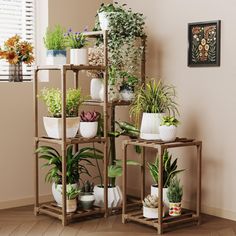 a room filled with lots of potted plants on top of wooden shelves next to a window