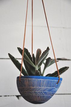 a blue hanging planter with succulents in it