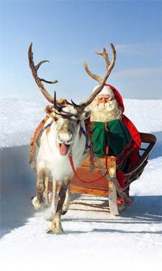 a reindeer pulling a sleigh with santa claus on it's back in the snow