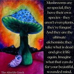 a painting with an image of a mushroom on it and the words, mushrooms are so special they have their own species