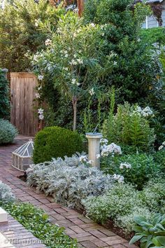 a garden with lots of plants and trees