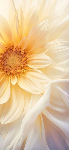 a large white flower with yellow center and petals