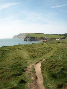 a dirt path leading to the ocean with green grass on both sides and an island in the distance