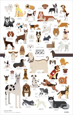 an illustrated poster with many different dogs