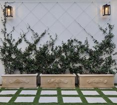 three planters with plants growing on them in front of a wall and grass area