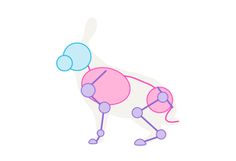 a drawing of a dog with different colored balls on it's head and legs