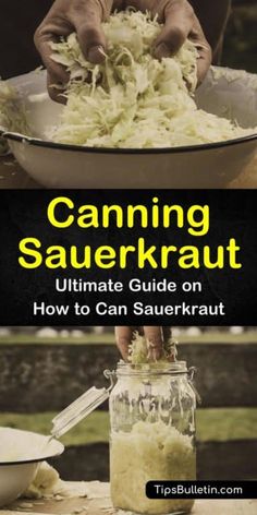 Saurkraut Recipes Mason Jar, How To Can Sauerkraut Mason Jars, How To Can Sour Kraut, Water Bath Canning Sauerkraut, Saurkraut Recipes Canning, Canning Sauerkraut Recipes Mason Jars, Canning Kraut In Jars, Canning Sour Kraut Water Bath