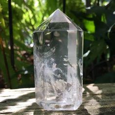 a clear glass vase sitting on top of a wooden table in front of green leaves