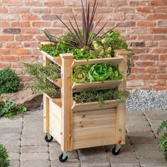 a wooden cart filled with lots of plants on top of a brick floor next to a wall