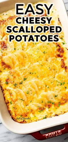 easy cheesy scalloped potatoes in a casserole dish