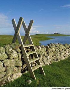 a ladder leaning against a stone wall next to a body of water with grass and rocks in the foreground