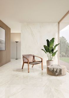 a living room with white marble walls and flooring, a plant in the corner