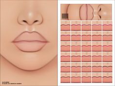 an image of a woman's lips with different shapes and sizes