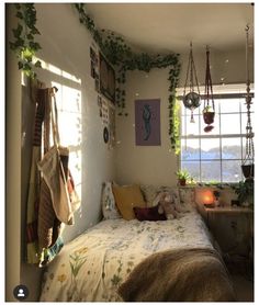 a bedroom with plants growing on the wall and hanging from the ceiling, along with an unmade bed