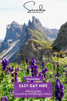 purple flowers with mountains in the background and text overlay that reads dolmites easy day hike including phoenogic detour