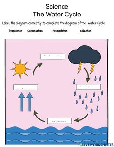 the water cycle worksheet is shown in this graphic style, with arrows pointing to different