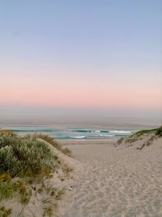 a sandy beach with grass and bushes next to the ocean