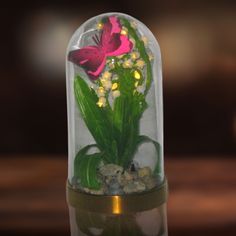 a pink butterfly sitting on top of a green plant in a glass dome with rocks and gravel