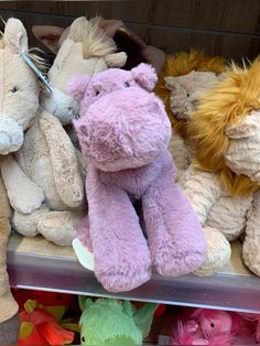 several stuffed animals are on display in a toy store, one is pink and the other is brown