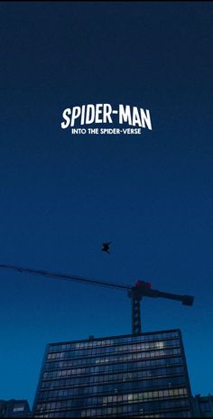 spider - man into the spider - verse movie poster with bird flying over building at night