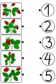 the worksheet for numbers 1 - 5 with strawberries and leaves on it