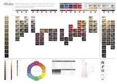 Pravana Color Chart, Balayage Hair Tutorial, Hair Color Formulas, Professional Stylist, Color Paper, Moroccan Oil, Balayage Hair, Color Chart, Hair Tutorial