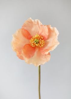 a pink flower with yellow stamens in a vase on a gray table top