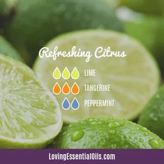 What essential oils smell good together? by Loving Essential Oils | Refreshing Citrus with lime, tangerine, and peppermint essential oil Grapefruit Essential Oil Blends, Lilin Aroma, Magia Das Ervas, Essential Oil Diffuser Blends Recipes, Young Living Essential Oils Recipes, Yl Essential Oils