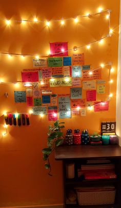 a bulletin board with lights on the wall above it and a plant in front of it