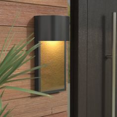 a modern outdoor wall light on the side of a house with a plant in front of it