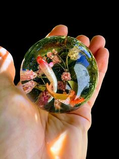 a hand holding a glass ball with fish inside