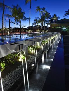 a water fountain is lit up at night with palm trees in the background