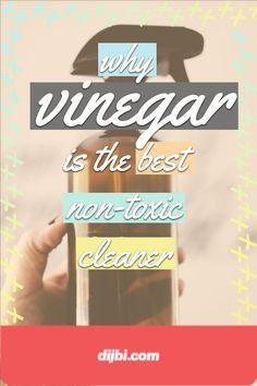 a poster with the words why vinegar is the best non - exotic cleaner