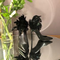 Rachel Zoe Leather High Heels Stiletto Shoes Black Semi-Gloss Sz 7 Stiletto Shoes, Leather High Heels, Black Feathers, Rachel Zoe, High Heels Stilettos, Shoes Black, Black Shoes, High Heels, Size 7