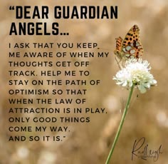 a butterfly sitting on top of a white flower next to a quote that reads dear guardian angels