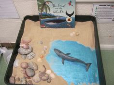 there is a cake with a dolphin on it and a book about the whale that was swimming in the water