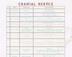 the cranial nerves chart is shown in red, yellow and blue